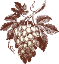 Vin de tradition Corse